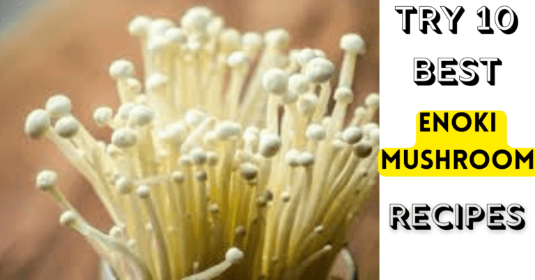 Try 10 Best Enoki Mushroom Recipe