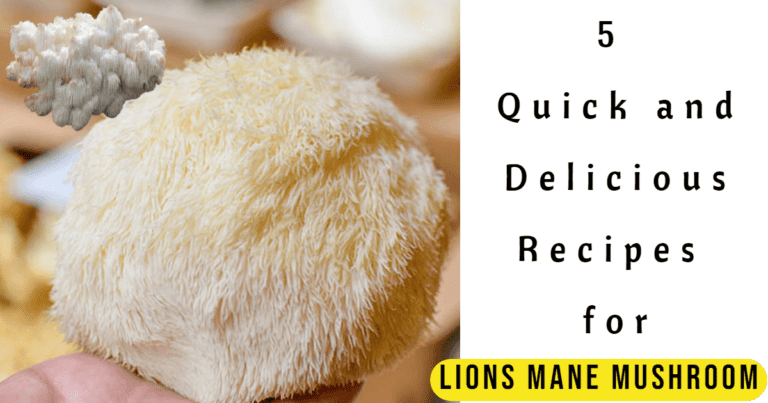 Lions Mane Mushroom Recipe