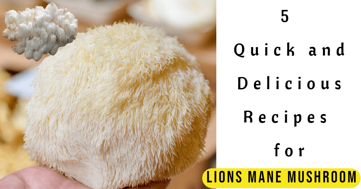 5 Quick And Delicious Lions Mane Mushroom Recipe My Type Recipes   5 Quick And Delicious Recipes For  