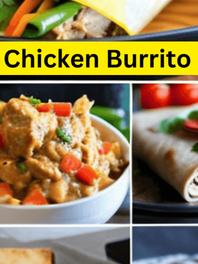 10 Variations of Chicken Burrito Recipe: choose your favorite!