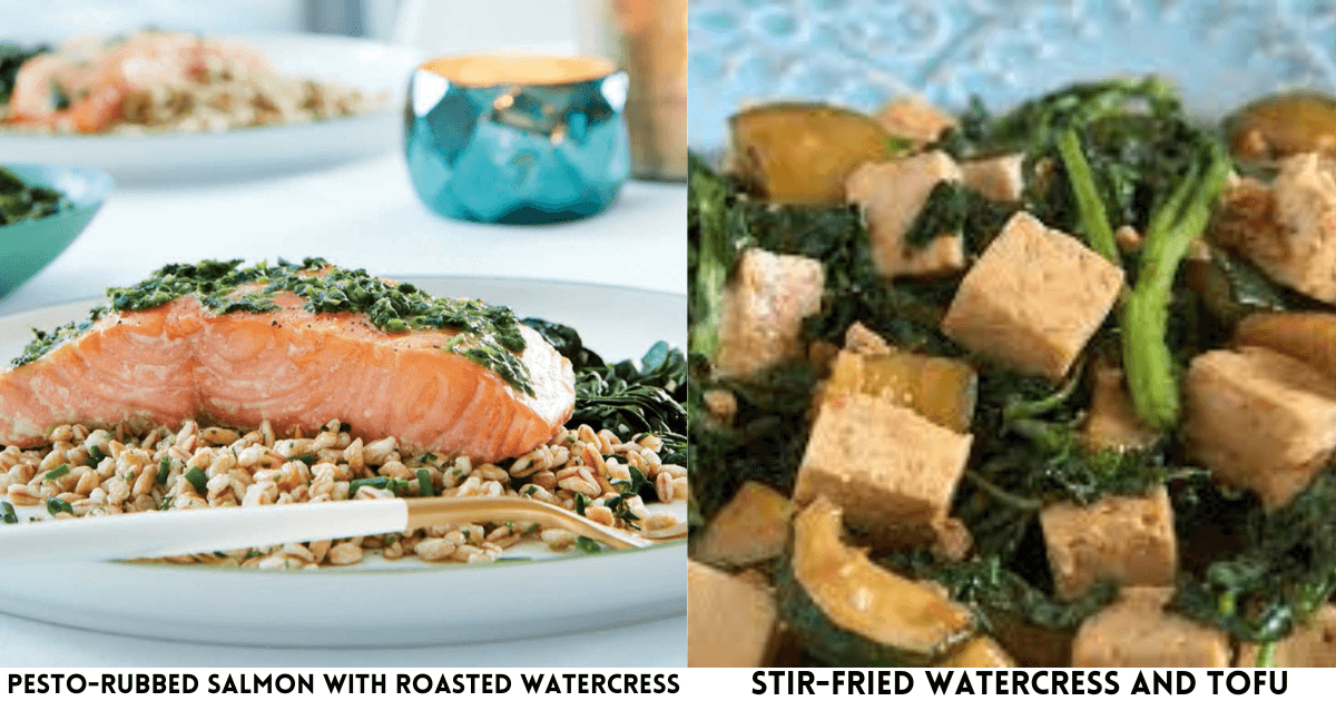 Watercress Dinner Recipes